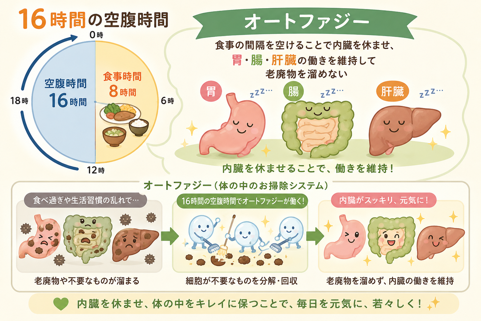 16時間断食のスケジュール